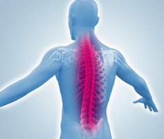 Slider image (2) Orthopedic Center Munich East